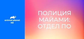 Полиция Майами: отдел по защите животных S16E1 - Спасение медведя