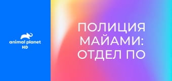 Полиция Майами: отдел по защите животных S16E1 - Спасение медведя