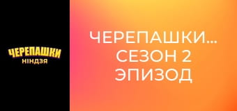 Черепашки-ниндзя Сезон 2 Эпизод 5