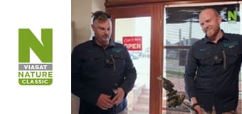 Австралийские змееловы - Потрясающий питон
