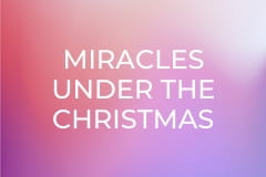 Miracles under the Christmas Star