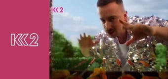 Сімейний суд E8 - Циганський розрахунок