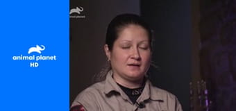 Полиция Филадельфии - отдел по защите животных S12E20 - Специальный выпуск: агенты-стажеры