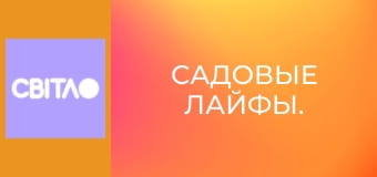 Садовые лайфы.