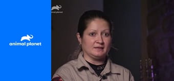 Полиция Филадельфии - отдел по защите животных S12E20 - Специальный выпуск: агенты-стажеры