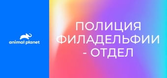 Полиция Филадельфии - отдел по защите животных S12E19 - Облава