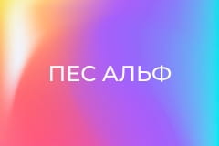 Т/с "Пес Альф", 11 і 12 с.