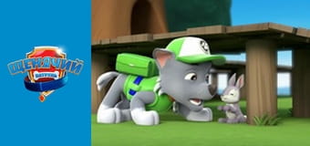 PAW Patrol. Season 1 - Episode 18