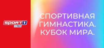 Спортивная гимнастика. Кубок мира. Этап 4 в Каире, Египет. День 2.