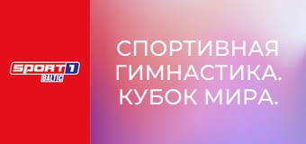 Спортивная гимнастика. Кубок мира. Этап 4 в Каире, Египет. День 2.