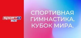 Спортивная гимнастика. Кубок мира. Этап 4 в Каире, Египет. День 2.