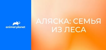 Аляска: Семья из леса S2E9 - Разделение стаи