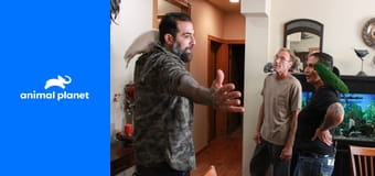 Дома для животных S1E7 - Улетный дворец для попугаев