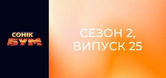 Сезон 2, Випуск 25