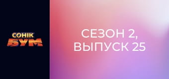 Сезон 2, Выпуск 25