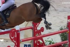 Конный спорт. Longines Global Champions Tour. Этап 9 в Монако.