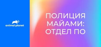 Полиция Майами: отдел по защите животных S16E1 - Спасение медведя