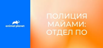 Полиция Майами: отдел по защите животных S16E1 - Спасение медведя