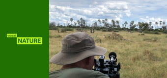 Великі кішки, маленький світ S1E1 - Літні дитинчата