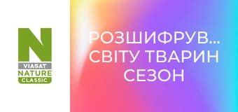 Розшифрування світу тварин Сезон 1 Епізод 3