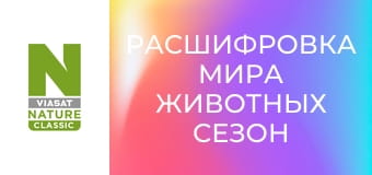 Расшифровка мира животных Сезон 1 Эпизод 3