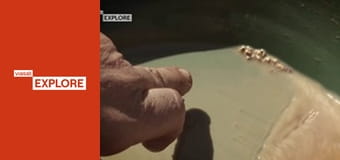 Австралійські шукачі золота S4E3