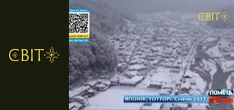 Месть природы, 4 сезон, 7 эп.