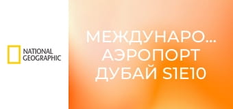 Международный аэропорт Дубай S1E10 - Опасный мусор