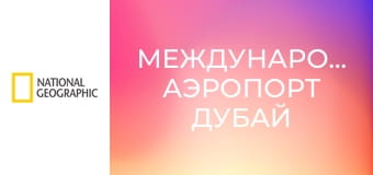 Международный аэропорт Дубай S1E10 - Опасный мусор