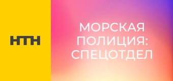 Т/с "NCIS: Полювання на вбивцю", 18 сезон, 10-12 с.