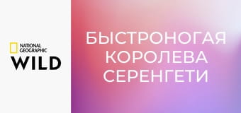 Быстроногая королева Серенгети