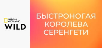 Быстроногая королева Серенгети