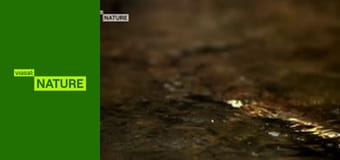 Дивна планета S1E2 - Суперсили