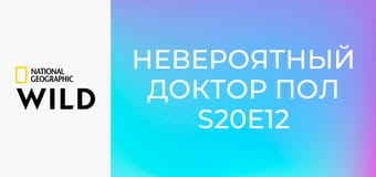 Невероятный доктор Пол S20E12 - Швы и шины