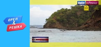 Шоппинг 3 сезон - выпуск 25
