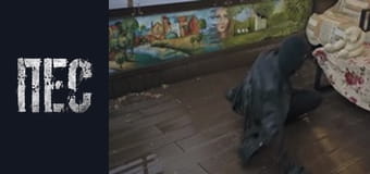 Пёс, Сезон 6, Серия 15