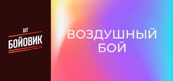 Воздушный бой