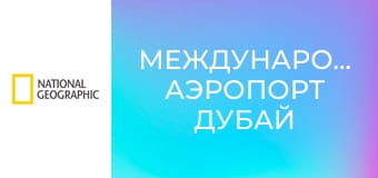 Международный аэропорт Дубай S1E7 - Отложенный отпуск