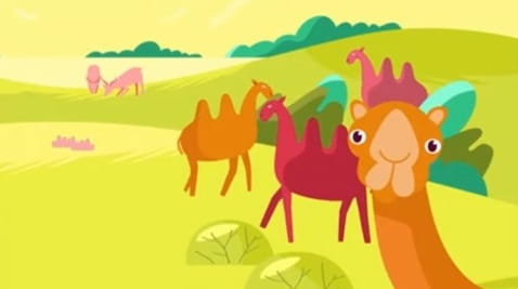 12. Pedan about the secret life of wild animals