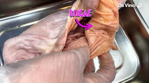 Operacija "Joj!" - Probajte ovo kod kuće ( 2020 ) – 2 season 