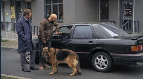 The Dog (2015) – 5 season 17 episode