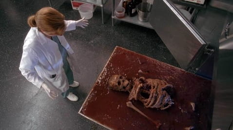 The X-Files (1993) – 3 season 6 episode