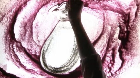 21. Чому кіт після обіду вмивається