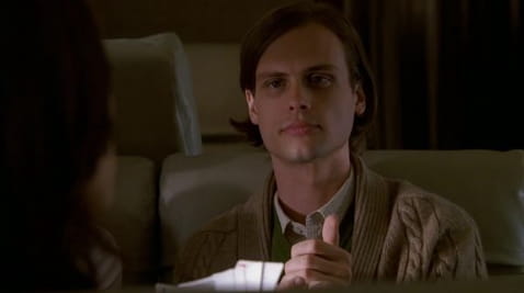 Criminal Minds (2005) - 1 season 17 episode
