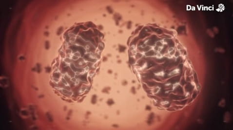 5. Безсмертя