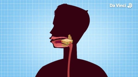 10. Скуидги стомак