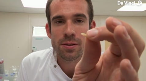 1. Working Muscles and Strange Healing