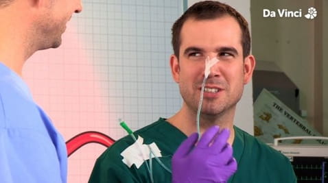 5. The Journey from Mouth to Stomach