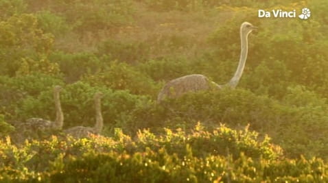 11. Половина землі, половина води