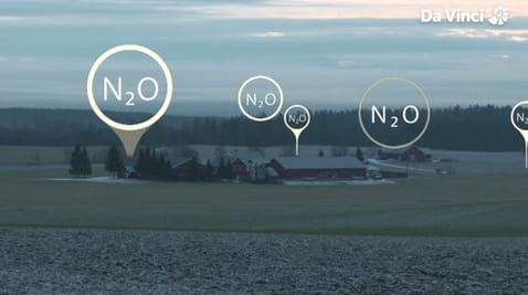 39. Plin za smijevanje, još jedan klimatski neprijatelj
